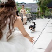《ペットフレンドリー》愛犬と一緒に挙式&披露宴も過ごせる