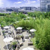 【緑・空・光の駅近リゾート体験♪】国産和牛試食×卒花人気特典の詳細を見る
