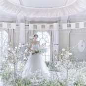 残2【月末感謝祭】特選牛＆オマール試食×BIG特典×純白チャペルの詳細を見る