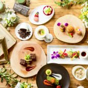 【料理重視派必見】両親も一緒で安心♪最大6名試食付フェア