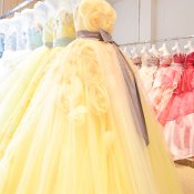 【新作ドレス試着】憧れの衣裳見学♪試食×特典×相談フェア