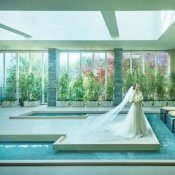 \憧れドレス見つけよう/衣裳総額50万円の成約特典プレゼント