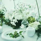 おススメ<<本番直前!>>会場コーディネート見学フェアの詳細を見る