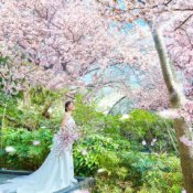 最大180万円特典《口コミ評価1位》緑溢れるNEW会場見学×ドレス試着花嫁体験