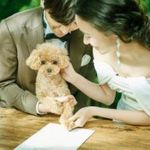 〈ペットと一緒に〉ワンちゃん料理特典付♪黒毛和牛コース×新会場の魅力満載フェア