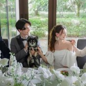 ワンちゃん婚＜挙式～披露宴までOK＞会場案内&リングドッグ体験の詳細を見る
