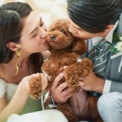 【大切なご家族と】ペットwedding相談会×特別優待付き