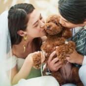 【大切なご家族と】ペットwedding相談会×特別優待付きの詳細を見る
