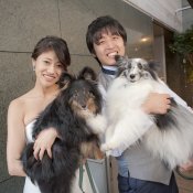 ★ペットウエディングフェア★モンサンクレールのケーキ付フェア