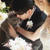 1件目来館でも安心【平日限定相談会】1日1組限定で邸宅を丸ごと貸切りの詳細を見る