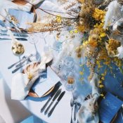 まだ間に合う*3月限定春の花「ミモザ」が彩る会場見学×無料試食