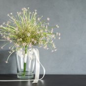 完成会場のリアル見学会へ行こう♪豪華3大特典*クレイジー相談会の詳細を見る