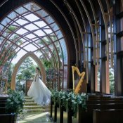 残1\挙式料無料/自然美感じるWedding*無料試食&感動挙式&ドレス見学