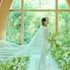 【お盆BIG】2万相当試食*花嫁ALL体験*ドレス試着*フォト体験のイメージ