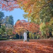 当日予約可【最大170万円特典】秋Fair*和洋3万試食付*会場見学
