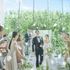 【秋の連休BIG*ハナユメ限定】光と緑チャペル＊アマギフ1.5万＆150万優待のイメージ