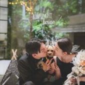 【ペットと過ごす結婚式】挙式&パーティも大切な家族と一緒にW