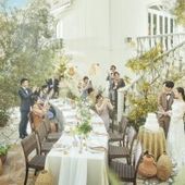 【2026年7~8月】\最大50万円特典/緑あふれるサマーW