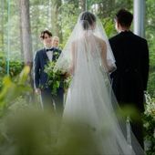 【27年4-6月】新緑の春 40名204万/50名224万