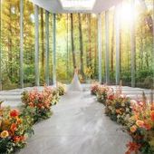 【26年9-11月】紅葉の秋 60名225万/70名240万