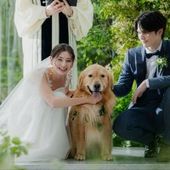 【愛犬と一緒のウェディング】30名159万/50名192万