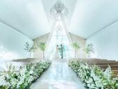 ◆1件目来館限定◆ドレス&タキシードより44万 円相当