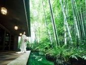 【50名163万円~】神社仏閣の挙式+披露宴◆神社式プラン