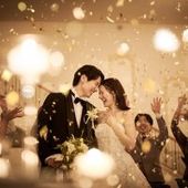 《11月来館限定・26年挙式》挙式料0円*ドレス2点全額オフ