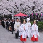 【神社式サポート】厳かな神社の挙式+披露宴