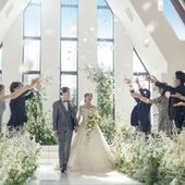 15th特典付プラン|60名|209万円|26年11月末迄