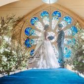 ハナユメ限定【春夏婚】2026年4月~8月!*直近プラン*