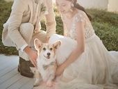 【ペット婚】全館OK◎挙式~披露宴までずっと一緒が叶う