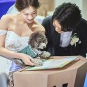 【ペット婚!】挙式~パーティまで*ずっと一緒に結婚式が叶う!