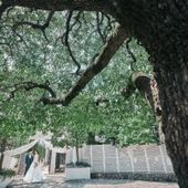 【2026年7〜8月限定】最大90万円優待スペシャルプラン