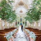 <27年人気シーズン>27年5月-6月【50名241万円】