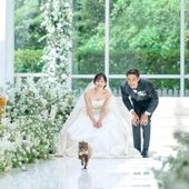 【ペットフレンドリー】大切なペットと過ごすウェディングプラン