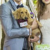 【いつでもご利用可能】大切な家族と結婚式が叶うペット婚プラン