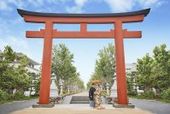 25年7月~8月シーズン割