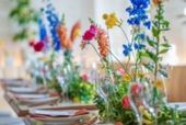 【半年以内のご結婚式限定!】~26年1月挙式までの限定プラン