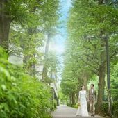 【27年3月~5月】プラチナ通りの新緑と陽光に包まれる春婚