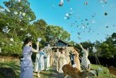 25年9~10月【40名211万円】