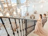 【26年内割引プラン】2026年11~12月までをご検討の方