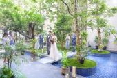 【最大80万割引プラン】26年5月・6月/春婚