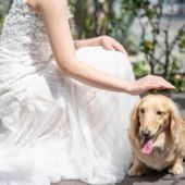 <通年/ペットウエディング>大切な家族の一員と一緒に