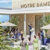 【平日ご結婚式限定】オールシーズンプラン