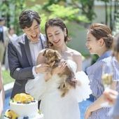 愛犬と一緒にペット婚プラン