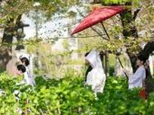 格式有る神社挙式が叶う◆神前式をご検討の方へ