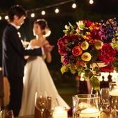 2025年12月~1,2月限定【WINTER PARTY】