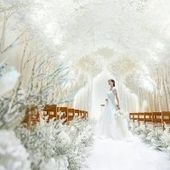 【25年10~12月挙式】Autumn Wedding