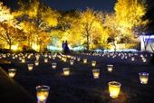 【美食と寛ぎの冬婚】2027年1・2月挙式限定の割引プラン